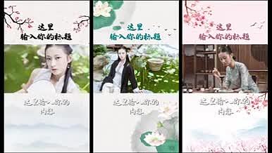 中国古风水墨竖版抖音小视频边框文字模版视频的预览图